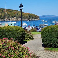 Acadia National Park Tours (Bar Harbor, ME): Address - Tripadvisor