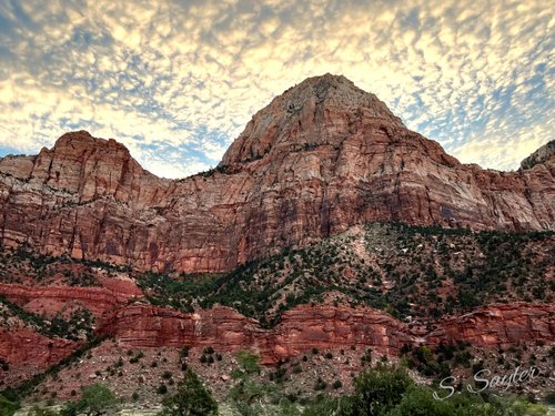 Zion National Park Inspired to Travel review images
