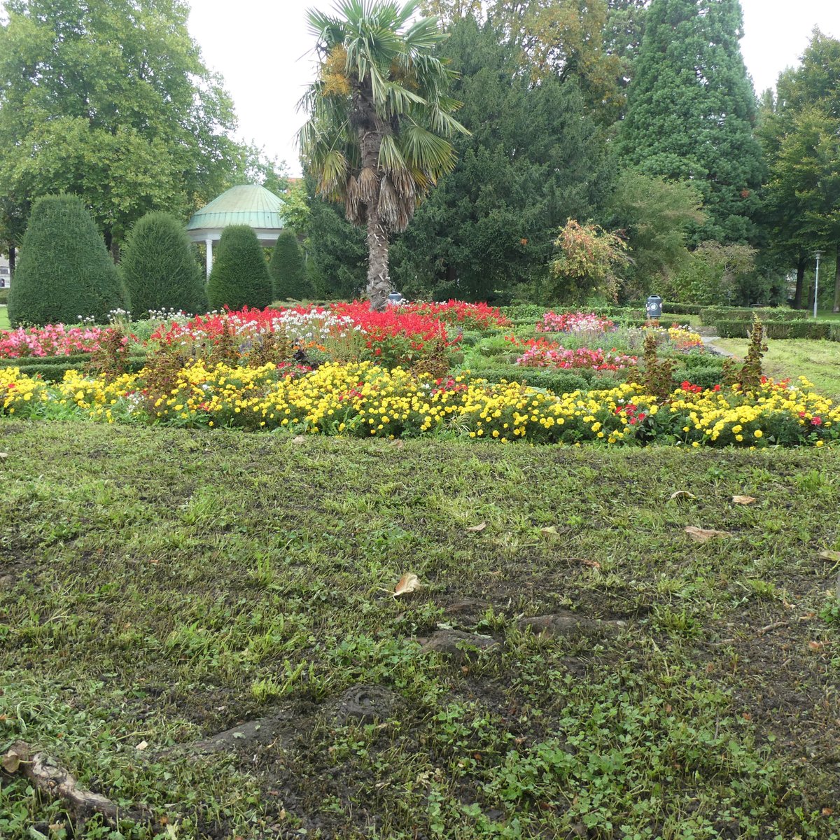 STADTGARTEN (Friedrichshafen) Ce qu'il faut savoir pour votre visite