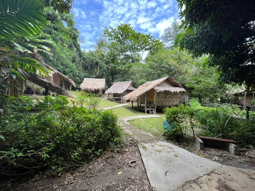 Tampat Do Aman Jungle Camp - Updated 2022 Prices & Campground Reviews 