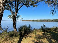 Exploring Santee National Wildlife Refuge in South Carolina - Au-delà du  paysage