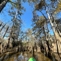 Honey Island Kayak Tours (Pearl River) - All You Need to Know BEFORE You Go