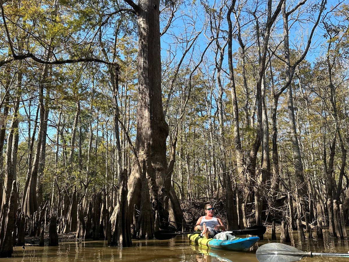 Honey Island Kayak Tours (Pearl River) - All You Need to Know BEFORE You Go