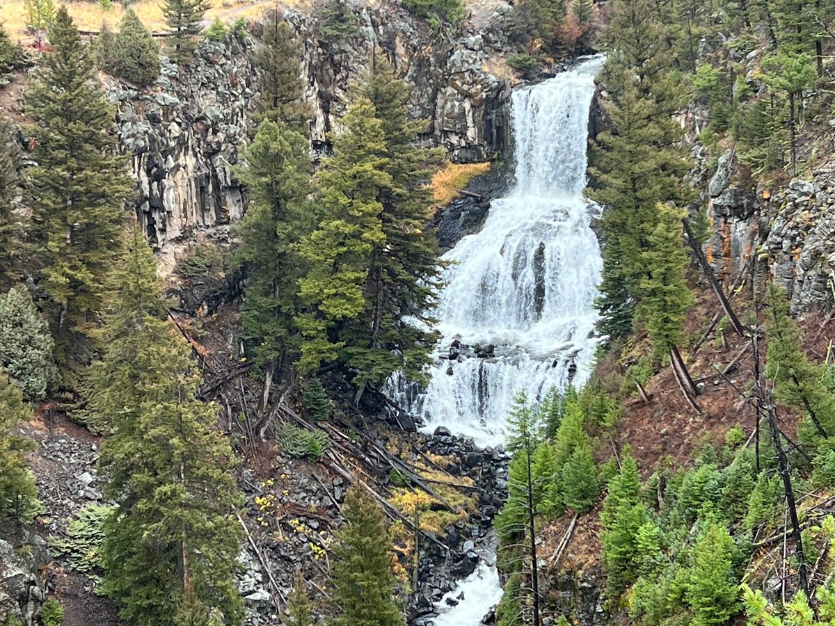 Yellowstone Dreamin Adventures All You Need to Know BEFORE You Go (2024)