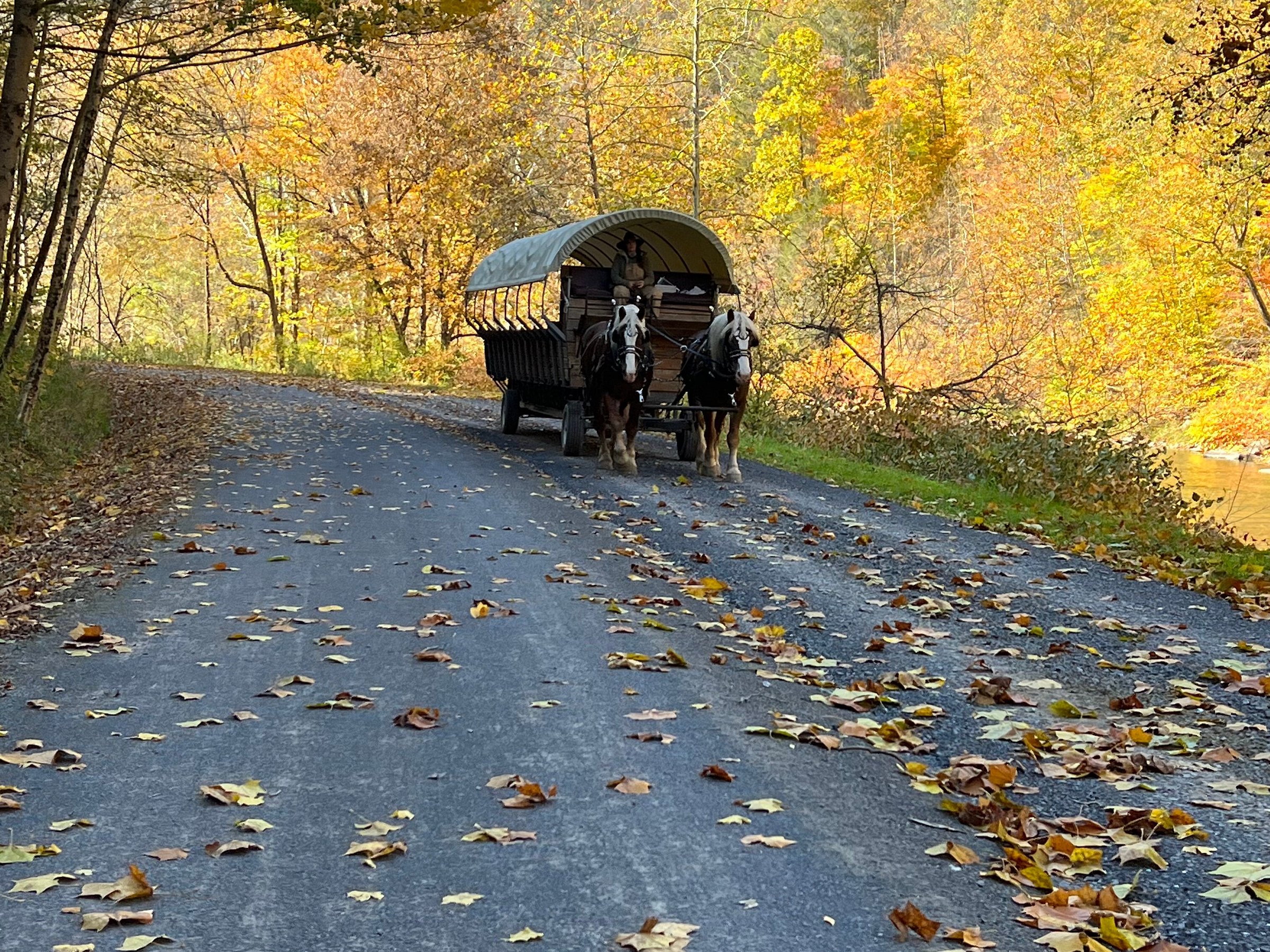 covered wagon bus tours
