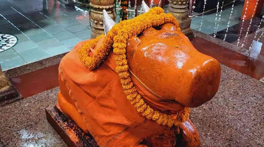 Jai ho nandi ji maharaj