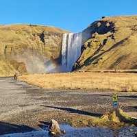 iceland everywhere tours reviews