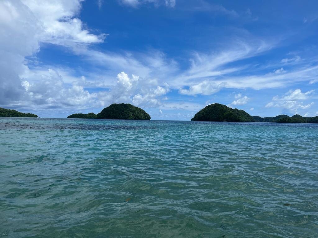 Sam's Tours Palau (Koror) - All You Need To Know BEFORE You Go