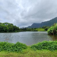 Hoomaluhia Botanical Gardens (Kaneohe) - All You Need to Know BEFORE You Go