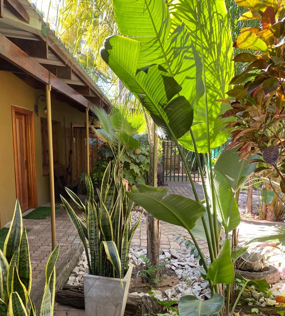 Hotel photo 22 of Olive Leaves Guesthouse.