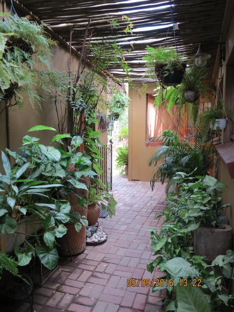 Hotel photo 36 of Olive Leaves Guesthouse.