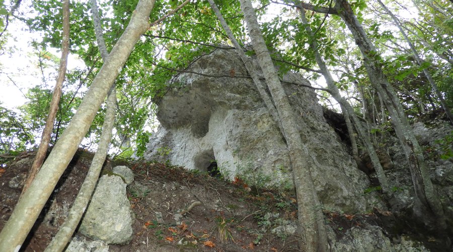 Cella sopraelevata