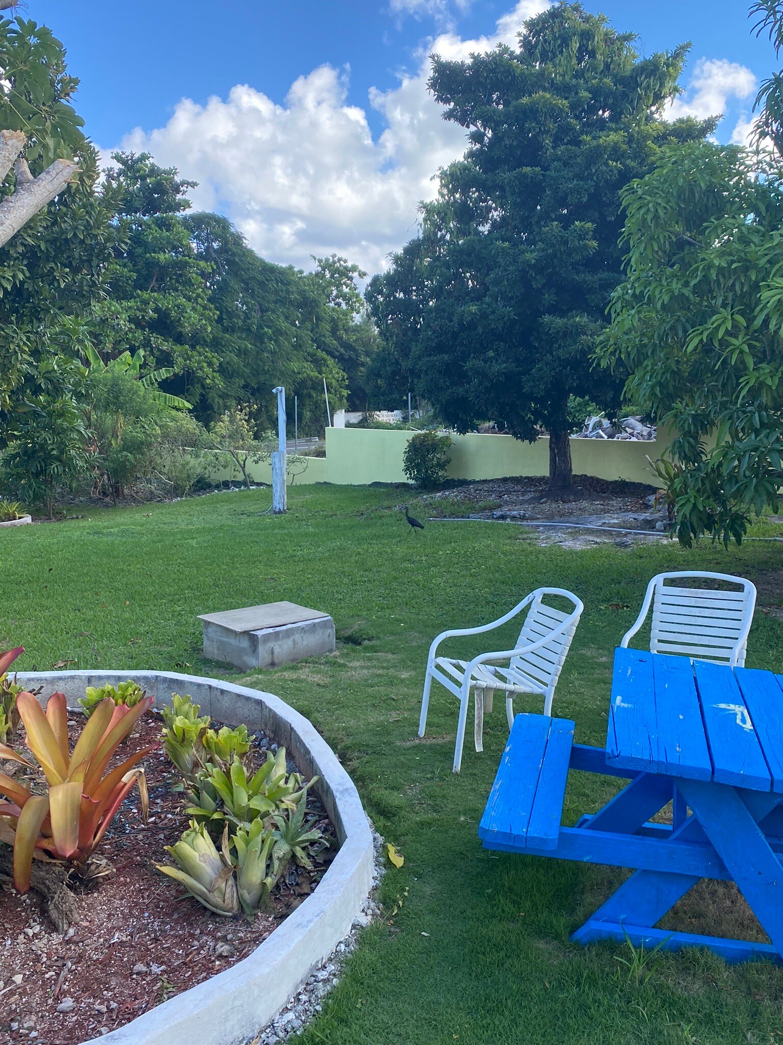 GOLDEN PALM BED & BREAKFAST B&B (Nassau, Bahamas): Prezzi 2022 E Recensioni