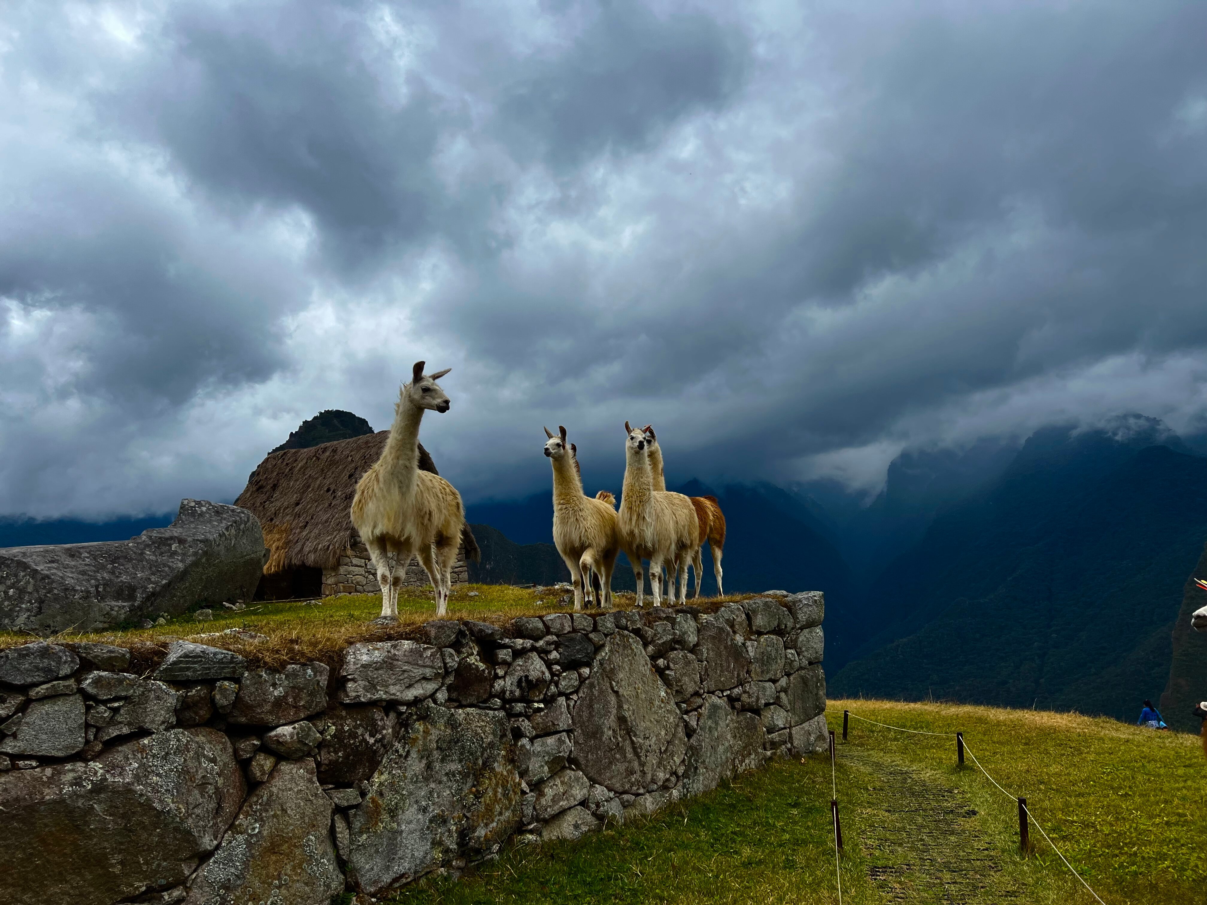 Explorandes inca trail discount cost