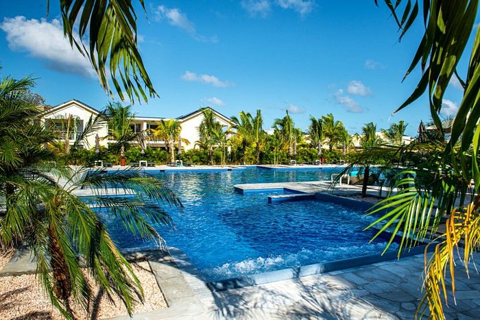 Delfins Beach Resort Bonaire Pool: Pictures & Reviews - Tripadvisor