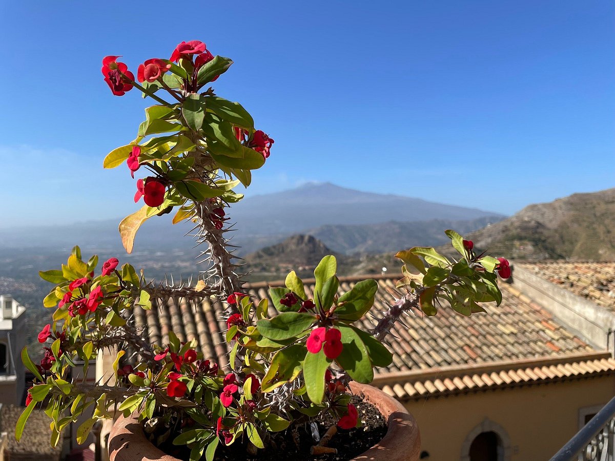 taormina tourist service