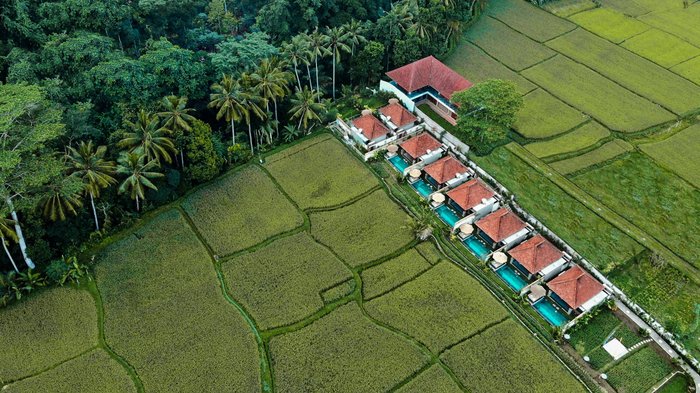 POKA VILLA UBUD - Updated 2024 Prices & Hotel Reviews (Bali)