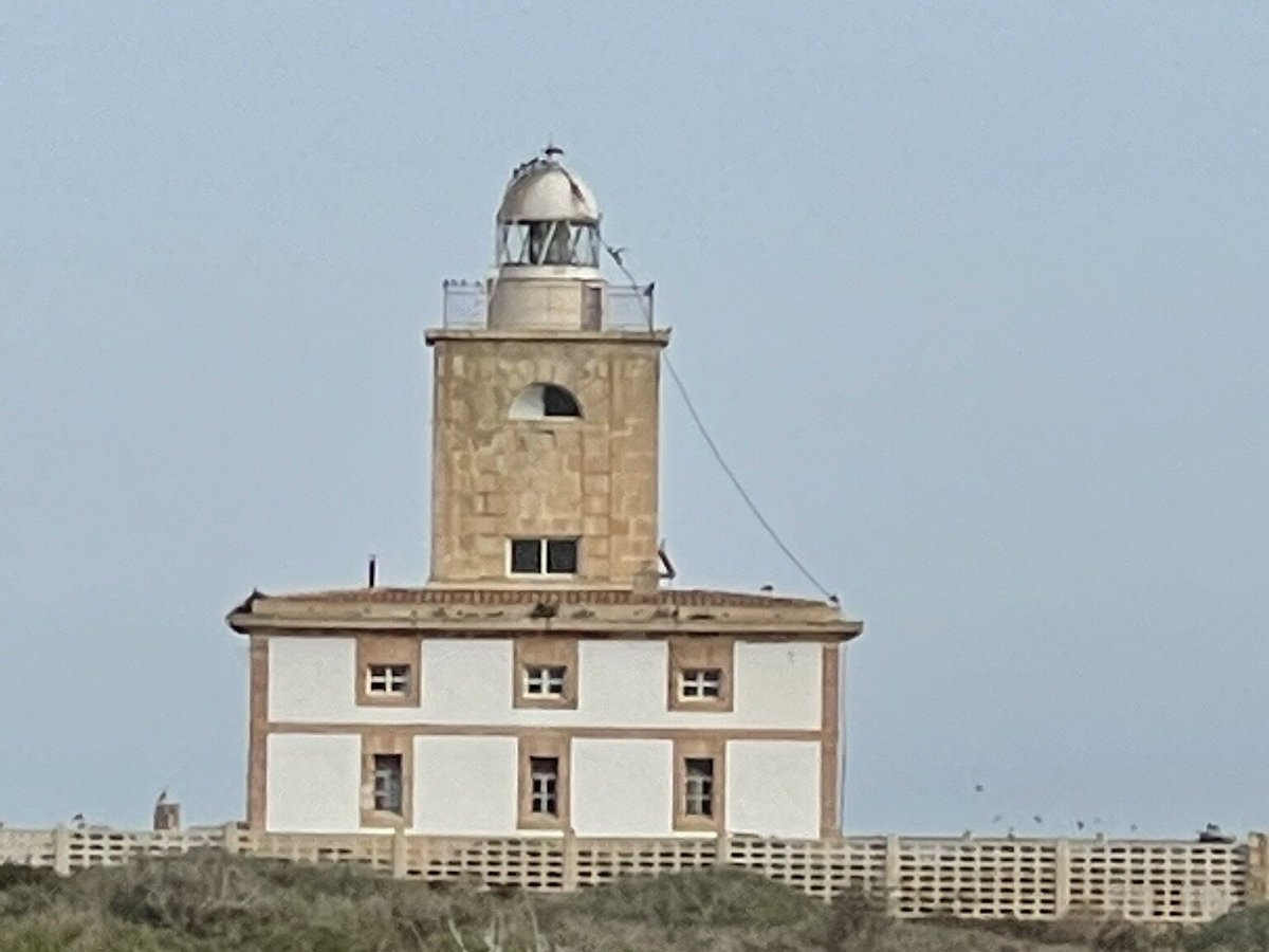 catamaran nueva tabarca