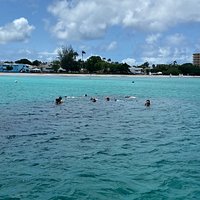 barbados catamaran turtle snorkel with lunch and open bar