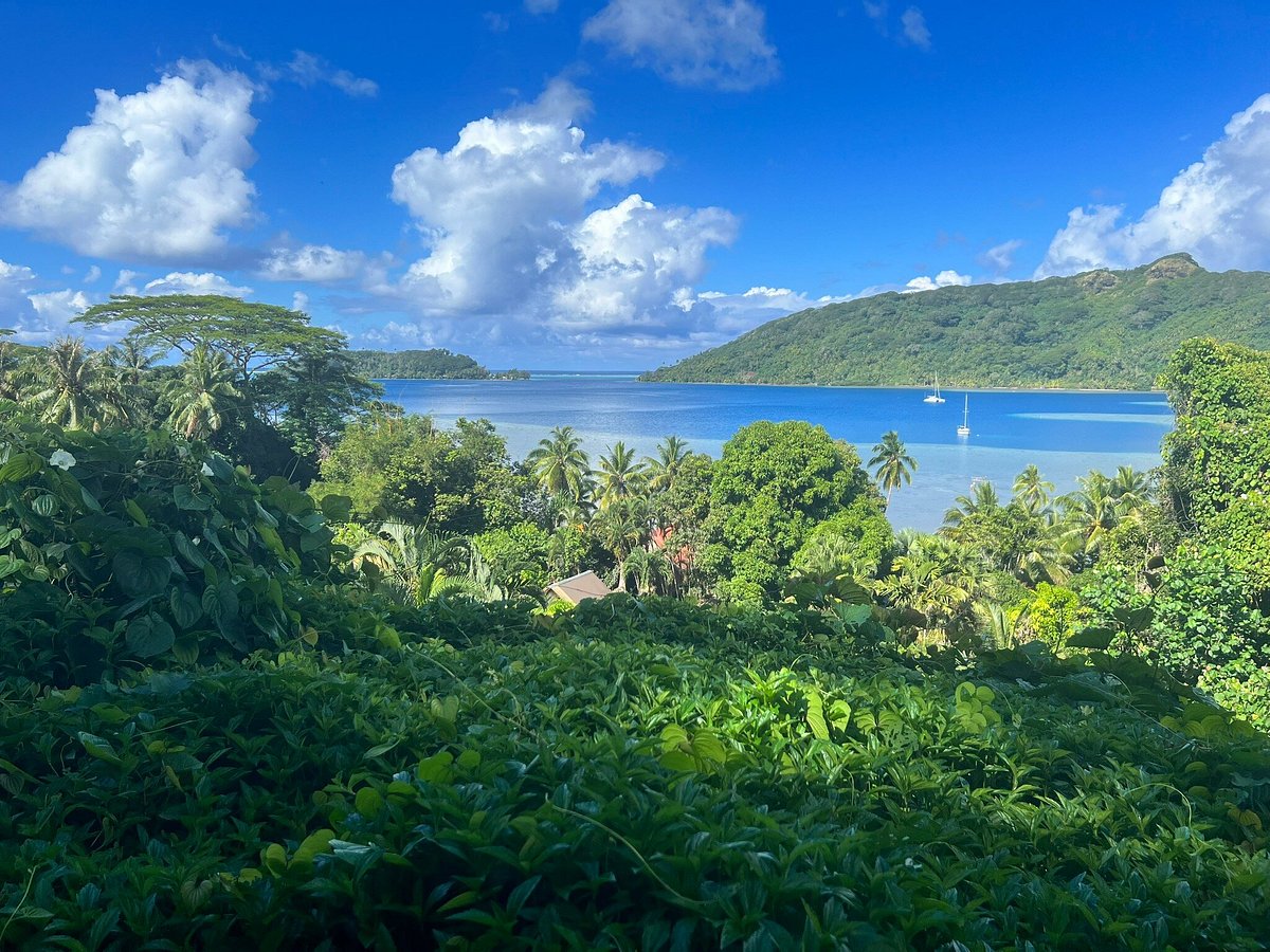 green tours huahine