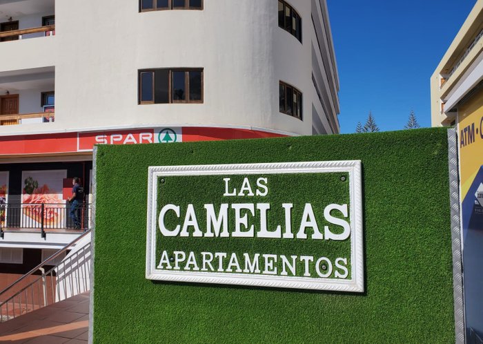 Imagen 1 de Apartamentos Las Camelias