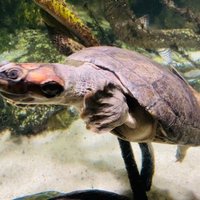 National Aquarium (Baltimore) - All You Need to Know BEFORE You Go