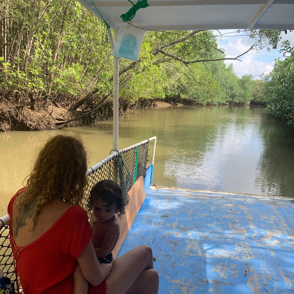 MANGROVE FORREST AND CROCODILES TOUR (Quepos) - 2022 What to Know ...