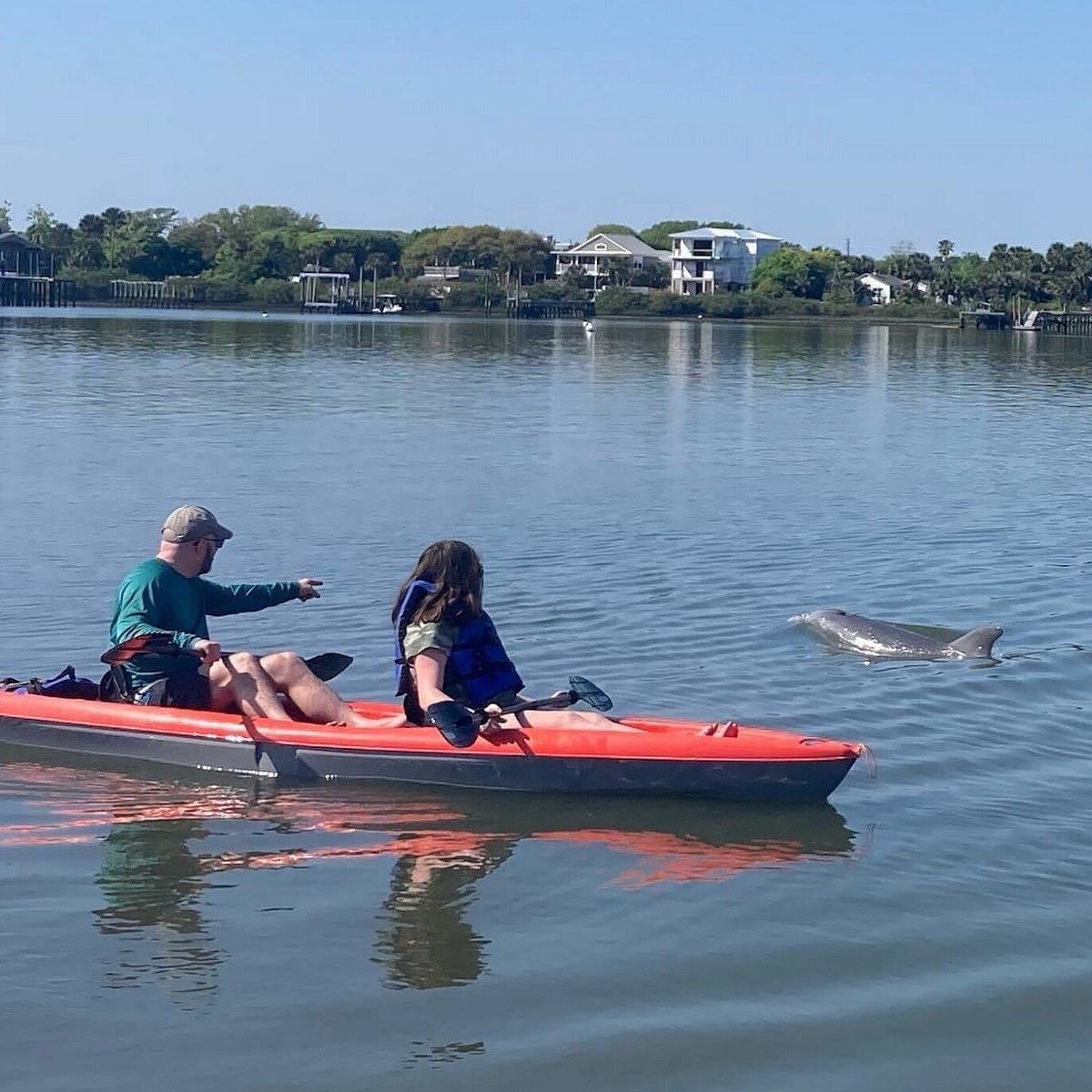 manatee tour sarasota