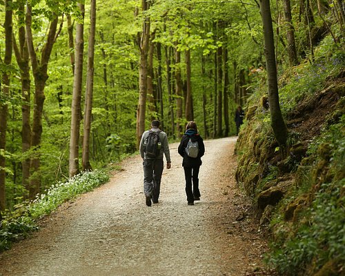 THE 10 BEST Yorkshire Hiking Trails (Updated 2024) - Tripadvisor