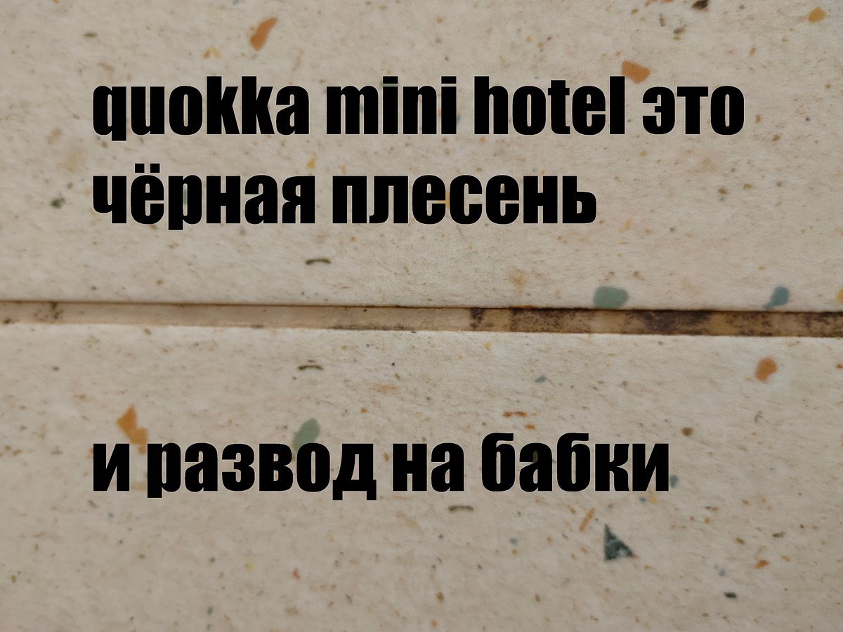 QUOKKA MINI-HOTEL (Калининград) - отзывы и фото - Tripadvisor