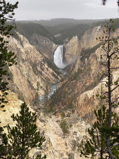 Yellowstone National Park ItchyFeet review images