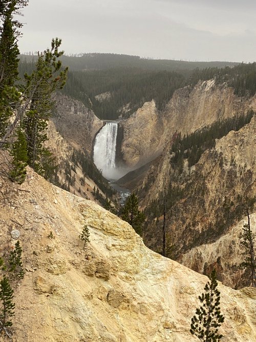 Yellowstone National Park ItchyFeet review images
