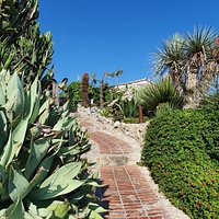 Le Jardin Exotique d'Eze (Èze) - All You Need to Know BEFORE You Go