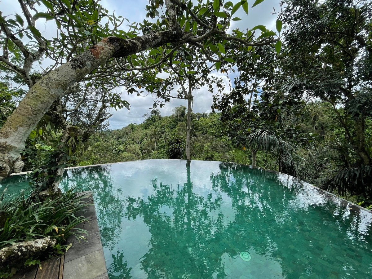 NATURA RESORT AND SPA - Updated 2024 Prices & Reviews (Ubud, Bali)