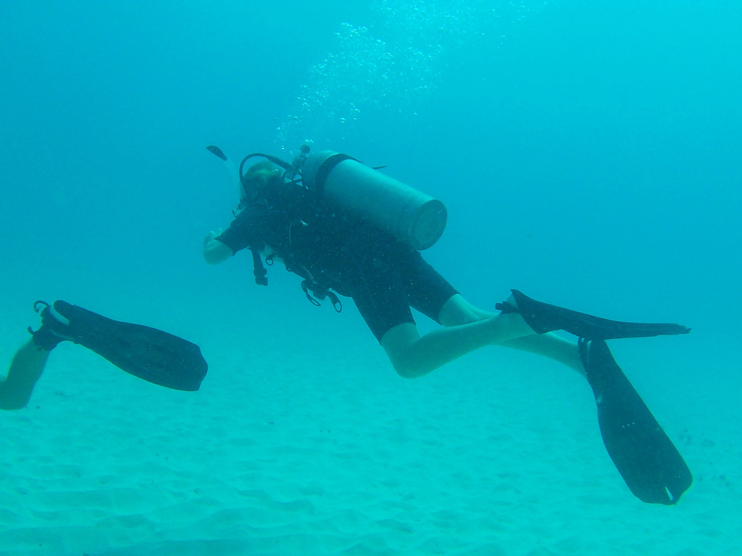 pro dive mexico playa del carmen