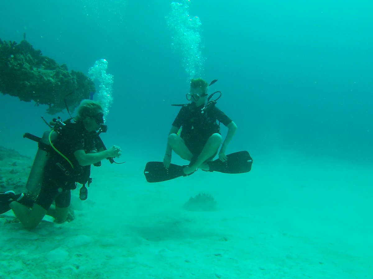 pro dive mexico playa del carmen