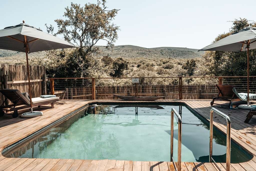 Barefoot Addo Elephant Lodge Pool Pictures & Reviews - Tripadvisor