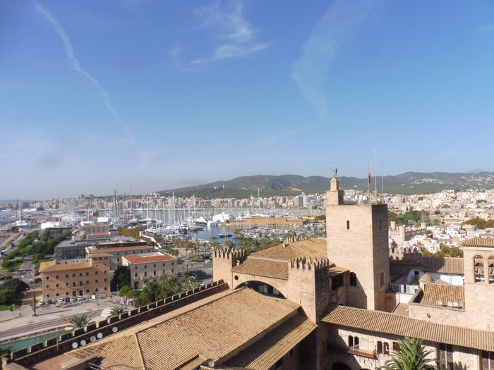 Imagen 4 de Terrazas de la Catedral de Palma