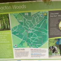 BACTON WOODS (2024) All You Need to Know BEFORE You Go (with Photos)