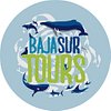 Baja Sur Tours