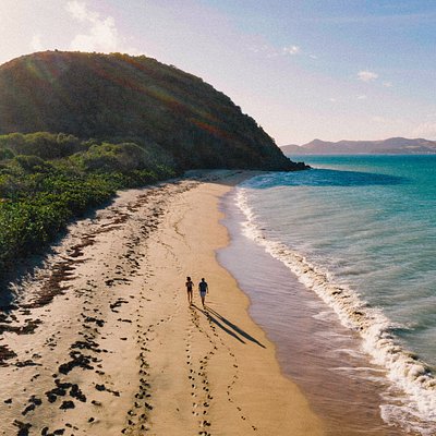 Paar, das auf dem Grande Anse-Strand auf Terre-de-Bas (Guadeloupe-Inseln, Karibik) bei herrlichem Sonnenschein spazieren geht