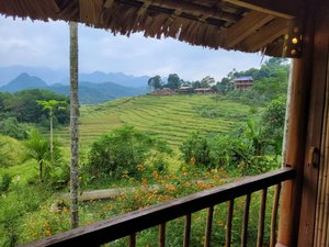 Phòng & Phòng Suite