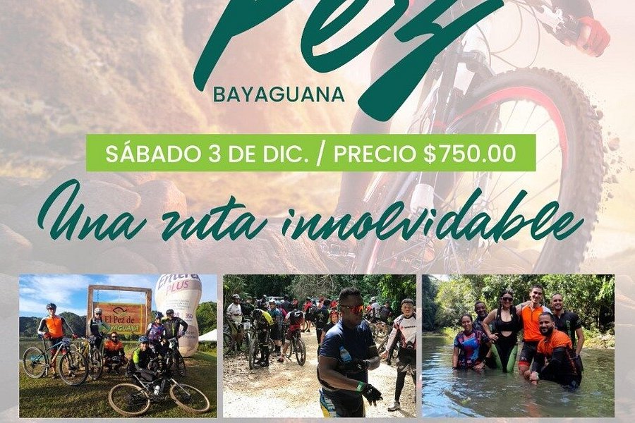 El Pez de Bayaguana image