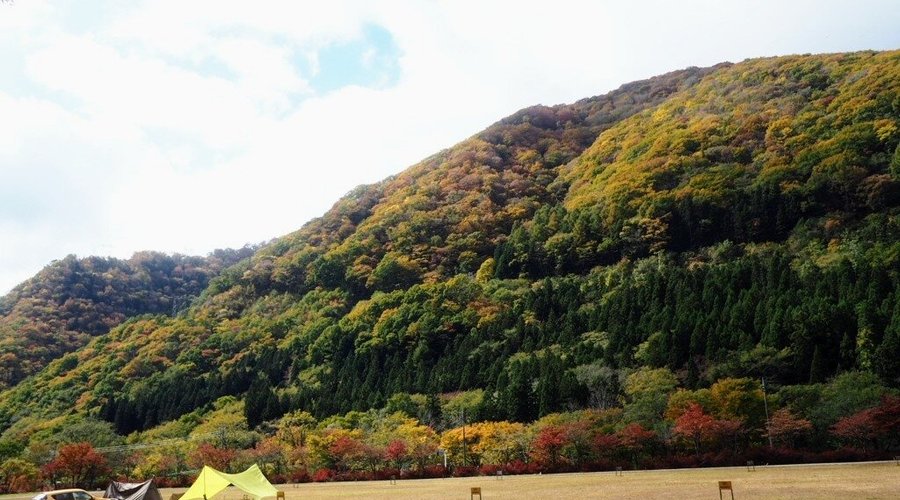 谷川岳から近く山が近く感じるキャンプ場です。お猿さんもあそびにきました。
