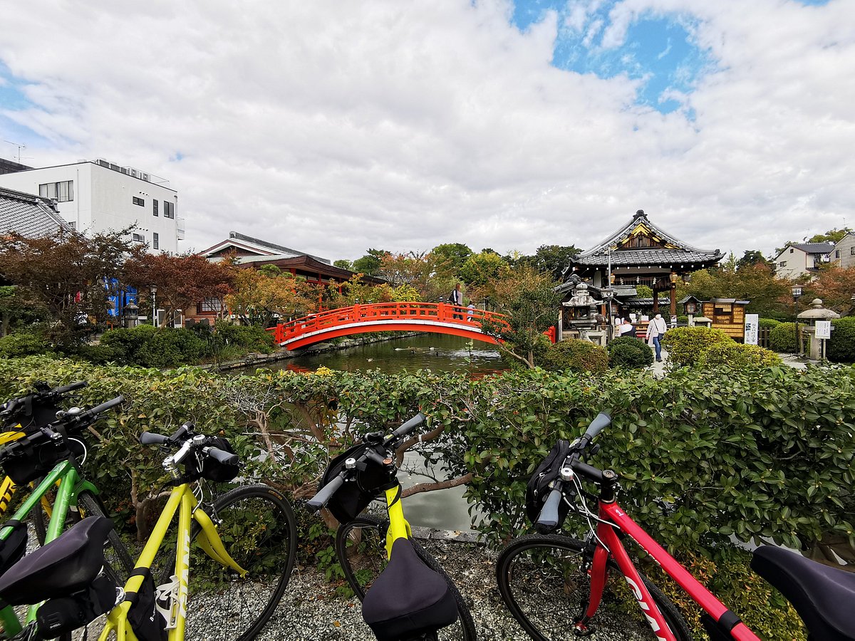 kyoto cycle