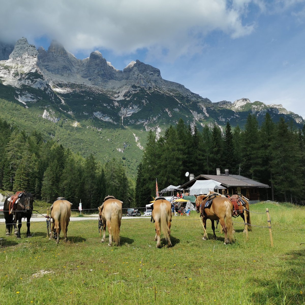 Zoldo Mountains All You Need to Know BEFORE You Go (2025)