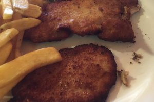 المسافر