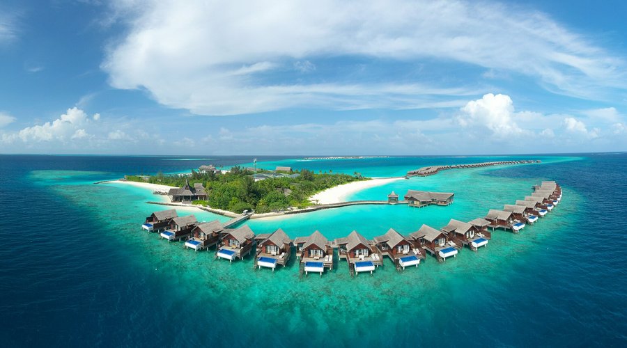 Enjoy the Housereef with Complimentary Snorkeling Gear