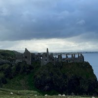 2023 Guided Day Tour of Giant's Causeway from Belfast by Comfortable Coach