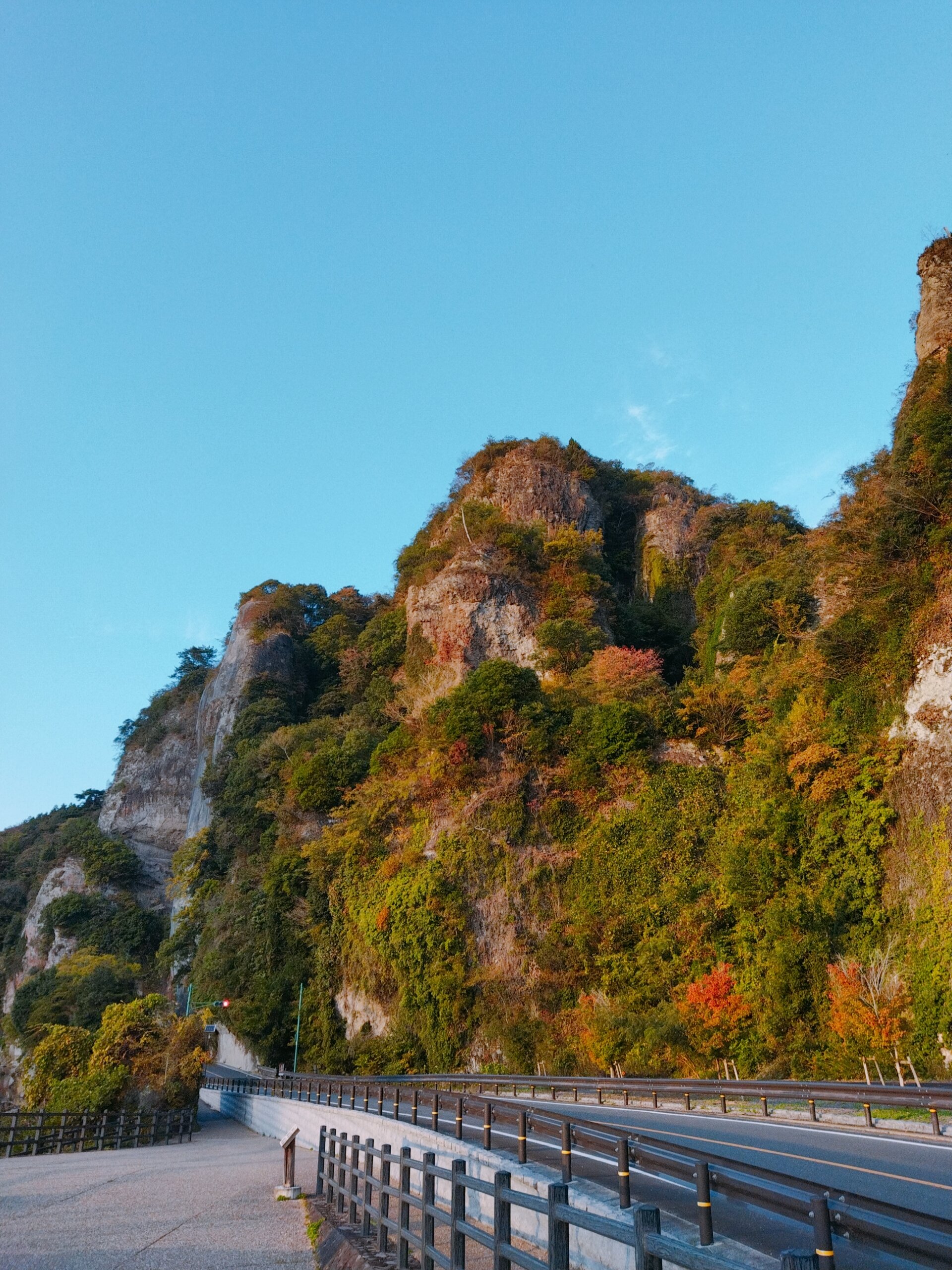 ゼンリン ゼンリン住宅地図 B4判 大分県 中津市南（三光・本